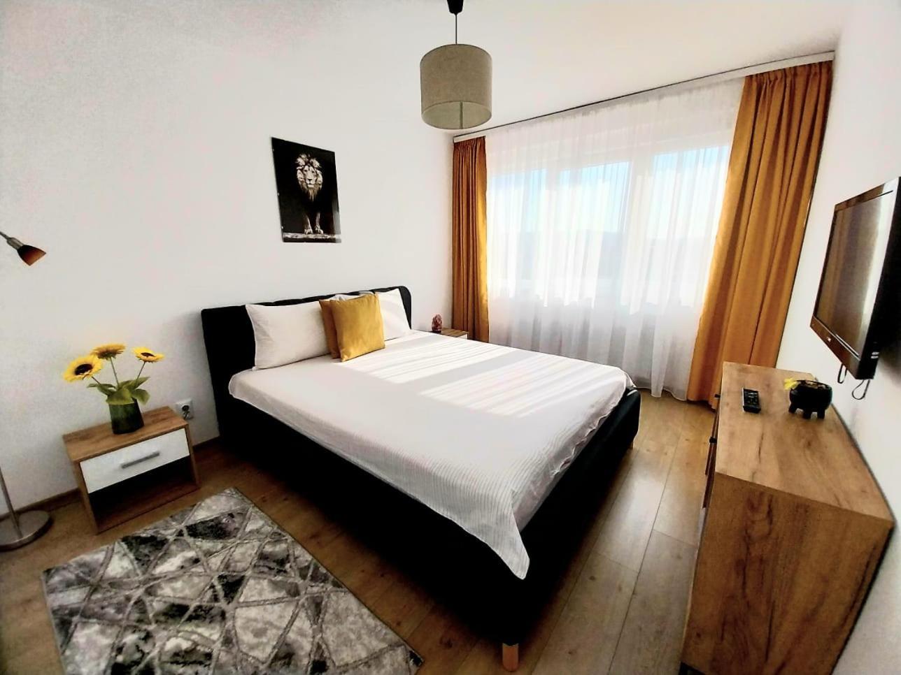 Apartment Panoramic View Targu Mures